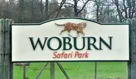 Woburn